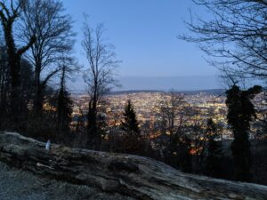 Nächtliche Aussicht auf Zürich bei einer Wanderung auf den Uetliberg.