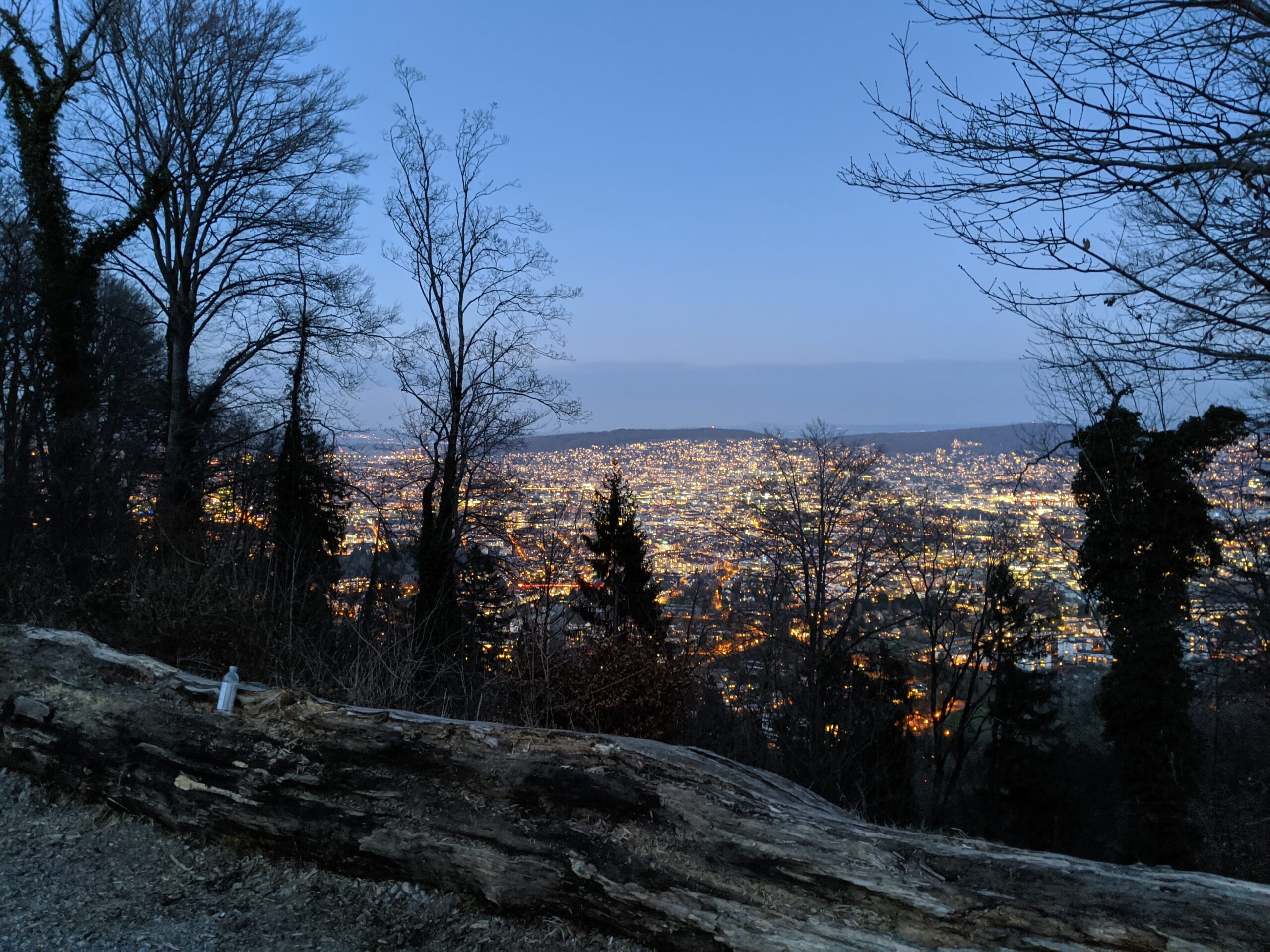 Nächtliche Aussicht auf Zürich bei einer Wanderung auf den Uetliberg.