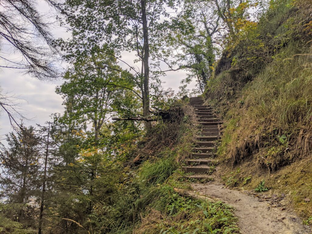 Wanderweg mit Treppe im Wald an der Uetliberg Ostflanke