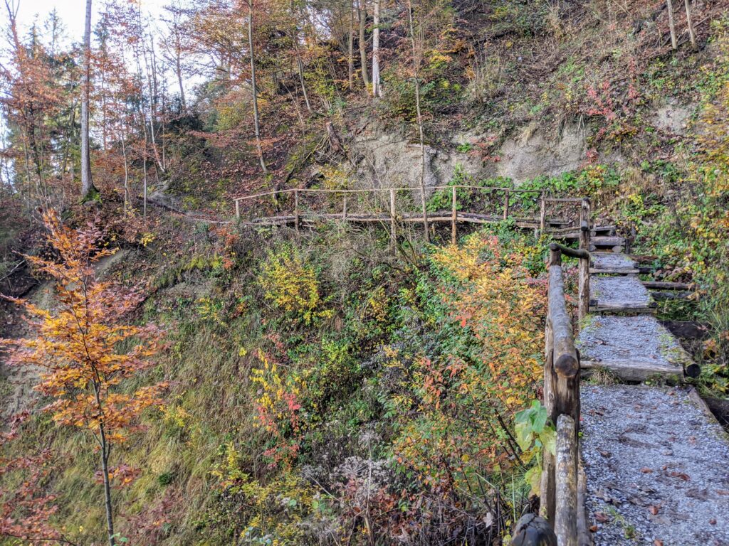 Steg mit Treppen an der Uetliberg Ostflanke