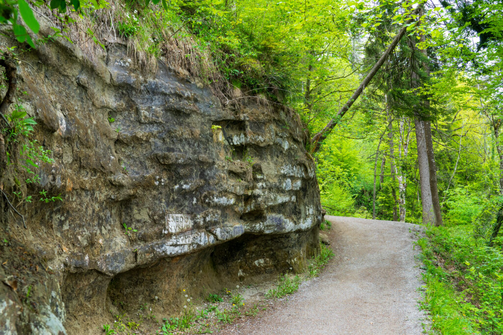 Wanderweg auf den Hohenstein